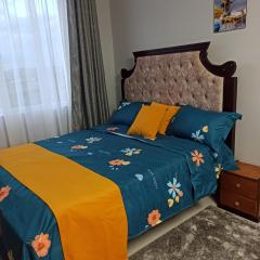 Bela Homes Large Deluxe studio Apartment