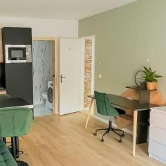 Cosy Appartement Toulouse Center