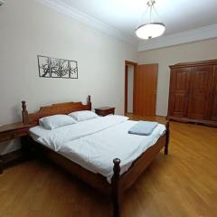 One bedroom apartment near Nizami metro