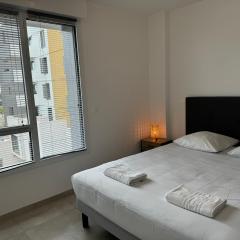 Colocation appartement terrasse XXL Port Marianne