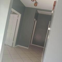 Blue Beauty located by LSU