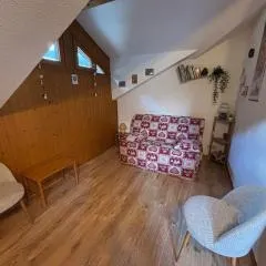 Charmant studio avec balcon au cœur d’Abondance, proche des pistes, idéal pour 4 personnes - FR-1-692-10