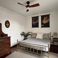 city center 2 bedroom apt