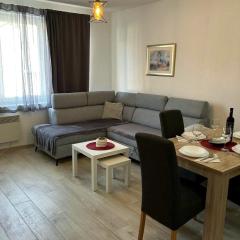 Rosa Canina Kupres 2 - Centar