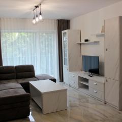 City Center Cozy Apartments near Shops and Restaurants in Suceava