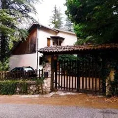 La Stella Alpina
