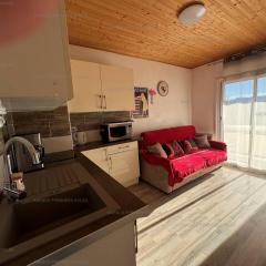 Grand studio/cabine lumineux, proche commerces et pistes - FR-1-295-193