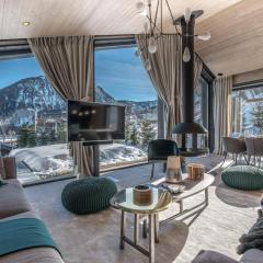 New modern chalet with skis on