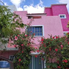 Barbie home