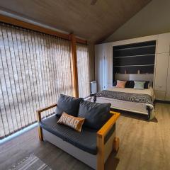 Departamento centrico SMA