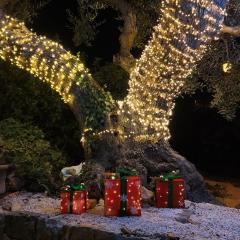 Trulli Donna Isabella 2