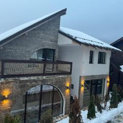 Vila Paradis Predeal