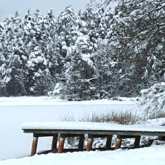 Bungalow direkt am See, mit eigenem Boot