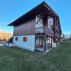 Appartement 1 chambre au centre, bien équipé avec WIFI - FR-1-733-158