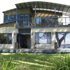 Beachfront Seagulls on Shoalhaven