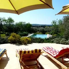 luxury mas with private infinity pool in the heart of the alpilles, 10 persons