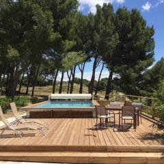 typical provencal farm in an exceptional natural site, the alpilles park - 8 people.