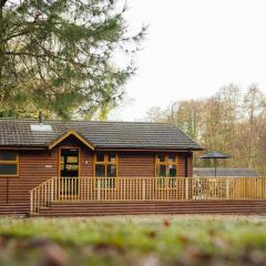 Tranquil Lakeview Lodge near Narberths Charm