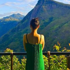 Ella Rock Mystery Guest