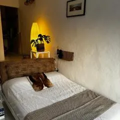Sunny Casita in Jesus