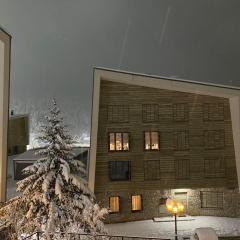 ApartMaN 11,free garage,ski to door