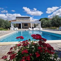 Villa Degli Ulivi