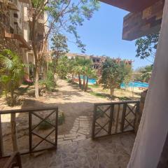 Hurghada Jungle Clube House Compound 1 bedroom Хургада компаунд студия в Джангл с 1 спальней