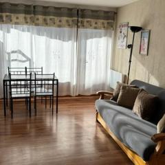 Studio cosy avec balcon, animaux acceptés, proche pistes - 4 pers - FR-1-445-212