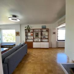Turku cetral retro apartment 119m2 with AC