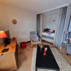 Magnifique appartement en bord des pistes