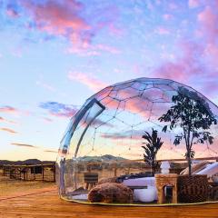 Nowhere By The Cohost Company