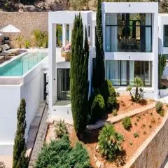 Villa in Ibiza with Infinity Pool & Sea Views
