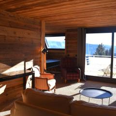 Joli T3 cabine avec vue imprenable sur les Pyrénées - FR-1-580-125