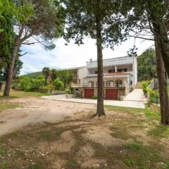 Apartments Niki