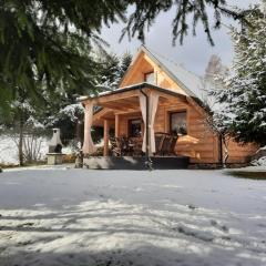 Domki z jacuzzi Pasja I