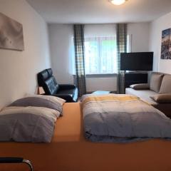 PrettyCentral1roomappartement