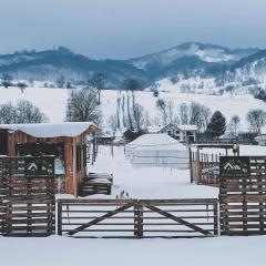 Glamping Iurte Mongole Spiritul Zimbrului