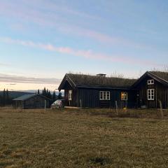 Cozy Home In Fåvang With Wifi