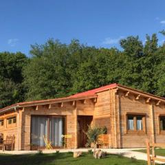 Chalet moderne avec jacuzzi, proche Sarlat - FR-1-616-430