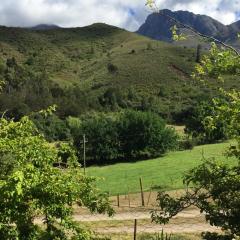 Jenny's Cottage at Jenny's Cream Products