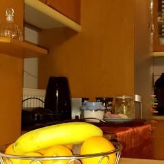 Traveller's Sweet Home