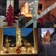 Gîte avec parking, au calme, entre Colmar-Riquewihr et Obernai ,marchés de Noël, 3 chambres, avec terrasse