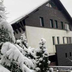 Pensiunea Franzdorf Alpin Valiug