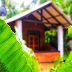 Osheen Homestay Sigiriya