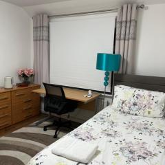 House in city centre with free parking