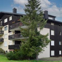 Apartment A302 by Interhome