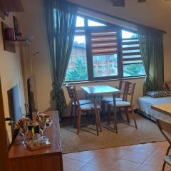 Pirin Golf hotel, Apartment Chalet style