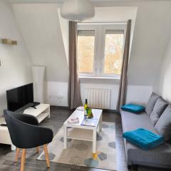Appartement Cosy à Colmar
