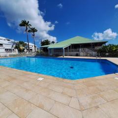 L Opacarophile Studio Marina du Gosier