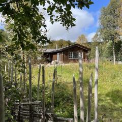 Charming and cozy cabin in Geilo